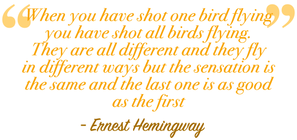 wingshoot_quote